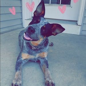 Meet your Posher, Tori